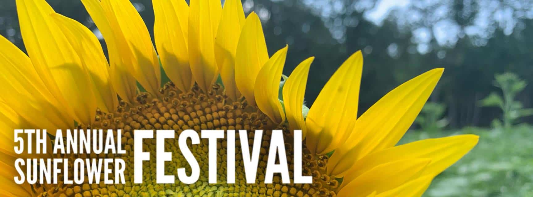 Sunflower Festival-Wanderlove Weekend - Enjoying RVA and all it has to