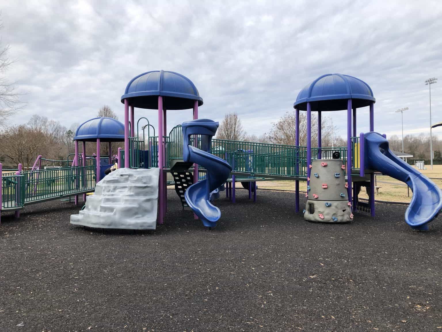 Inclusive Playgrounds in Richmond, Virginia Enjoying RVA and all it