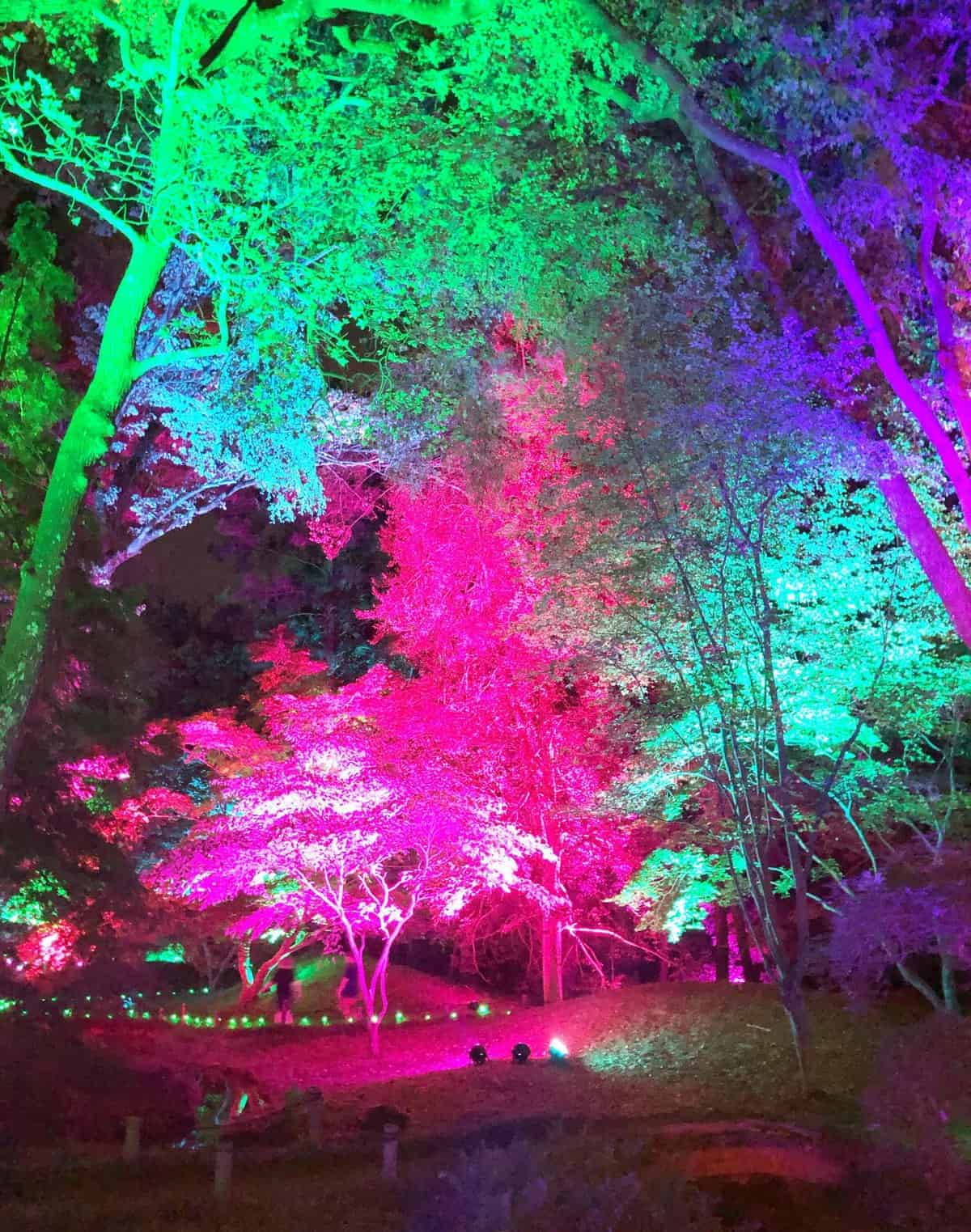 Maymont's 6th Annual Garden Glow! Enjoying RVA and all it has to offer!