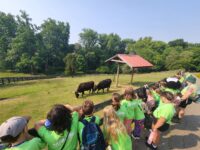 Maymont Summer Camp