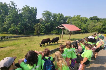 Maymont Summer Camp