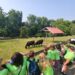 Maymont Summer Camp